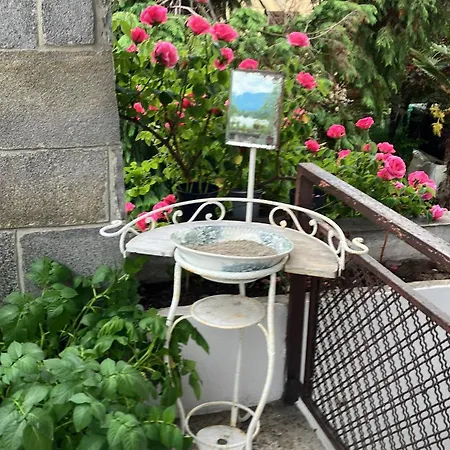 Vakantiehuis Lake View *